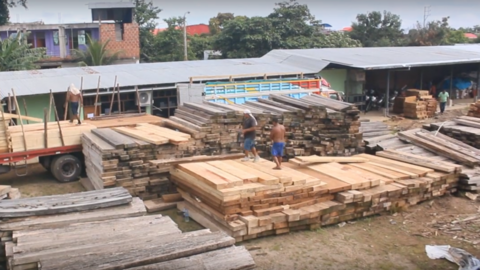 Foto: Gerencia Regional Forestal y de Fauna Silvestre Madre de Dios