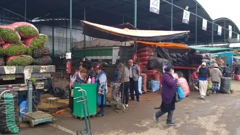 Foto: Andina/Difusión