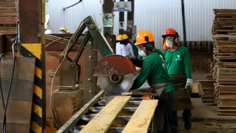 Un total de 284 empresas forestales ya están listas para reiniciar sus actividades en el marco del proceso de reactivación económica, afirmó el Serfor. ANDINA/Difusión

