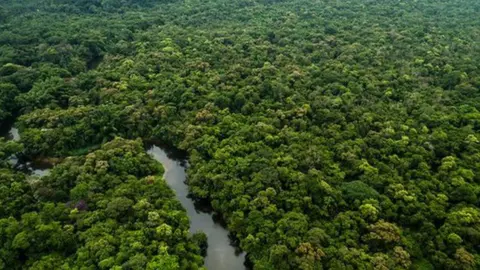 Foto: ANDINA/Difusión