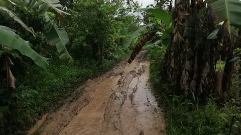 Foto: Municipalidad Provincial de Tambopata.