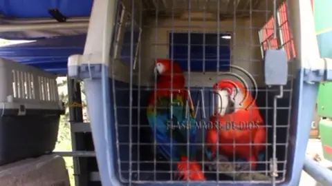 Foto: Flash Madre de Dios.