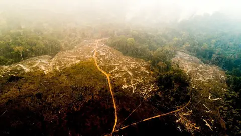 Los incendios forestales no son nuevos en el país, estos se presentan en esta época del año debido a las sequías. Foto: Difusión.