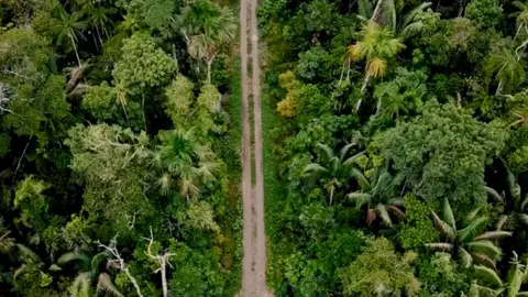 La carretera a través de Manu ha sido un tema controvertido durante muchos años y se cree que podría aumentar las actividades ilegales en la región. Foto cortesía de Eilidh Munro.