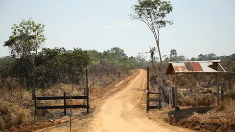 Foto: Municipalidad Provincial de Tambopata.