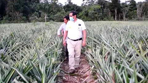 Foto: Dirección regional de Agricultura.