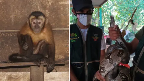 Foto: FEMA Madre de Dios.