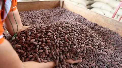 Imagen referencial. ANDINA/archivo