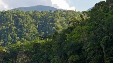 Foto: ANDINA/Difusión