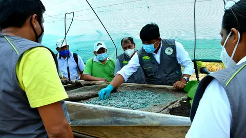 Foto: Dirección regional de Agricultura.