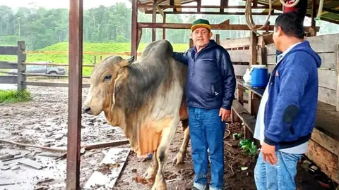 Foto: Dirección regional de Agricultura.