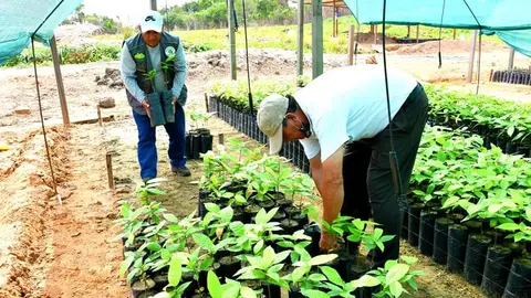 FB_IMG_1605646835602