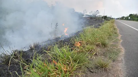 Foto: COER Madre de Dios.
