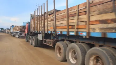 Foto: Gerencia regional Forestal y de Fauna Silvestre Madre de Dios.