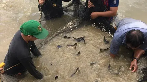 Fotos: Gobierno Regional de Madre de Dios