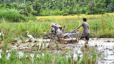 Foto: DRA Madre de Dios.