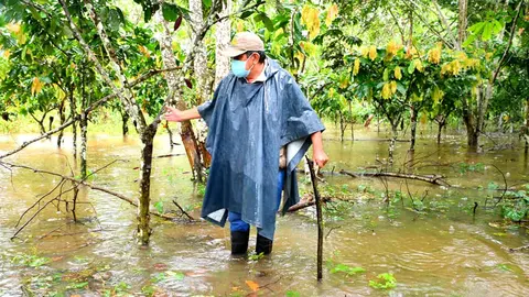 Foto: DRA Madre de Dios.