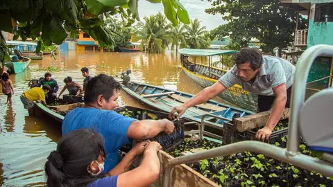 FB_IMG_1614282556653