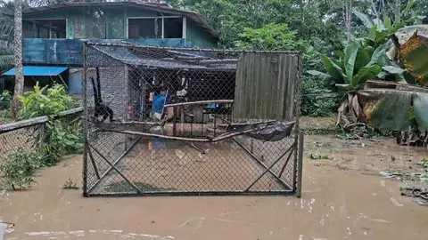 FB_IMG_1614297046080