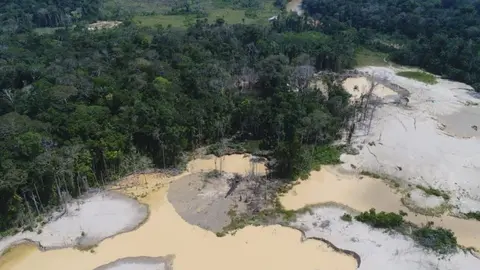 Foto: Fiscalía Especializada en Materia Ambiental de Madre de Dios