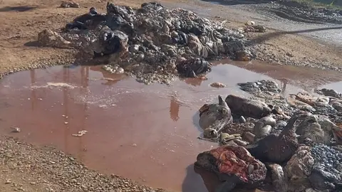 Foto: Radio Madre de Dios