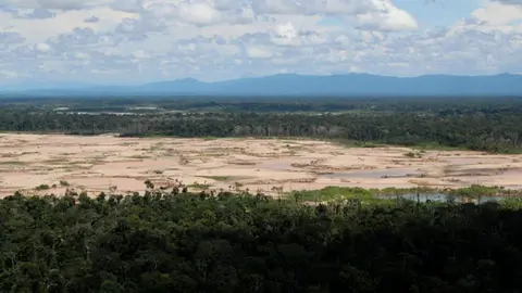 standard_deforestacion_mdd_1