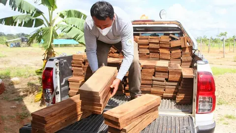 Foto: Gerfor Madre de Dios