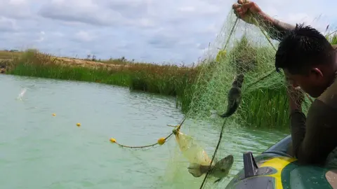 Pesca con malla agallera en poza minera abandonada en La Pampa de Madre de Dios.