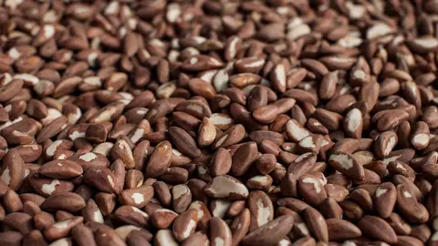 Foto: Santiago Barco / Fuente: Cuadernos de campo / La Mula