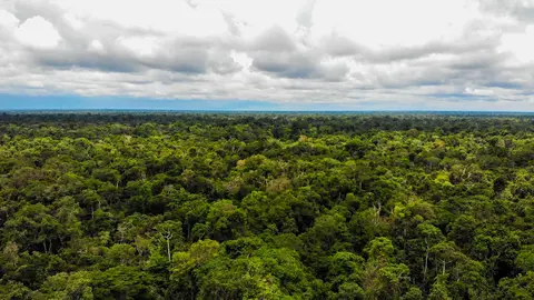 Foto: difusión