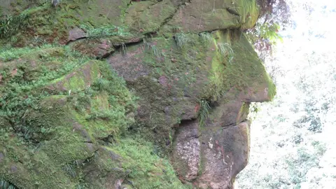 El Ministerio de Cultura declaró Patrimonio Cultural de la Nación al sitio arqueológico Rostro Harakbut, monumento de piedra ubicado dentro de la Reserva Comunal Amarakaeri, en Madre de Dios. Foto: ECA Reserva Comunal Amarakaeri/Facebook