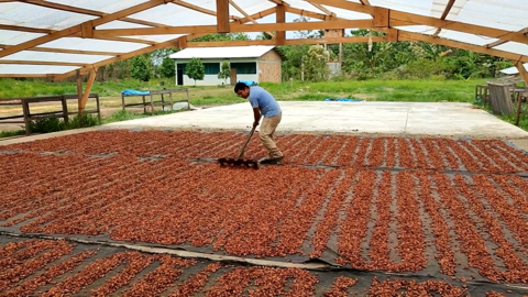Foto: DRA Madre de Dios.