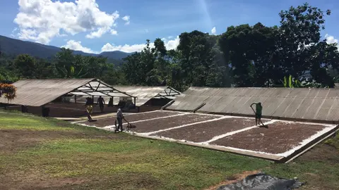 Foto: Difusión