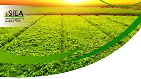 Foto: Gobierno Regional