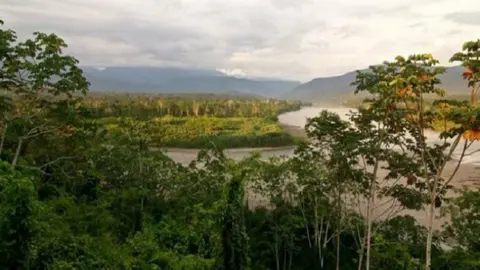 Foto: Asociaci&oacute;n Calandria