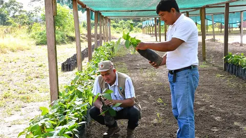 Foto: Gobierno Regional