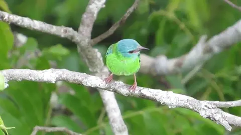 Foto: Gobierno Regional