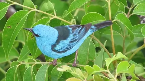 Foto: Gobierno Regional