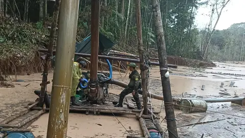 Foto: PNP Dirección de Medio Ambiente