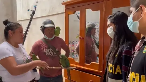 Foto: Gerencia Regional Forestal y de Fauna Silvestre