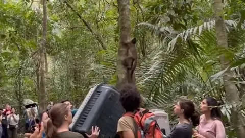 Foto: Difusi&oacute;n