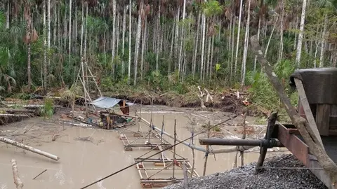 Foto: Fiscalía Especializada en Materia Ambiental