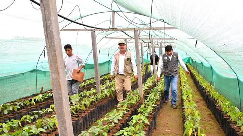 Foto: Dirección Regional Agricultura