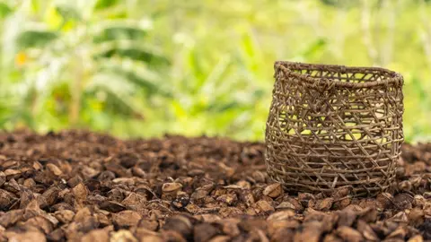 Foto: Fondo Agroperú