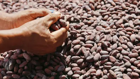 PHGYTISFHZGKTGAYKKKWA5WMKI