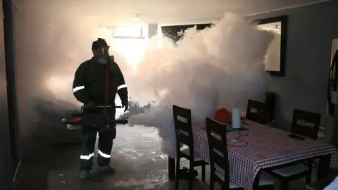 standard_FUMIGACIÓN