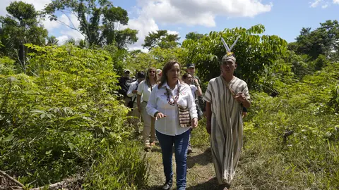 Foto: Presidencia de la República