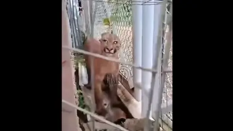 Imagen: Flash Madre de Dios