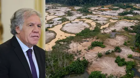 Foto: Actualidad Ambiental