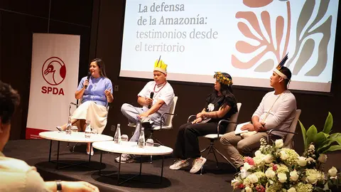 Foto: Actualidad Ambiental